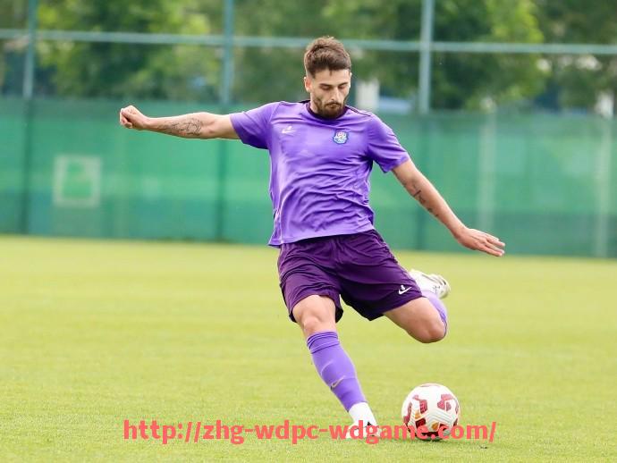 问鼎娱乐官方网站-法甲防守数据统计报告：封堵成功率与丢球数对照