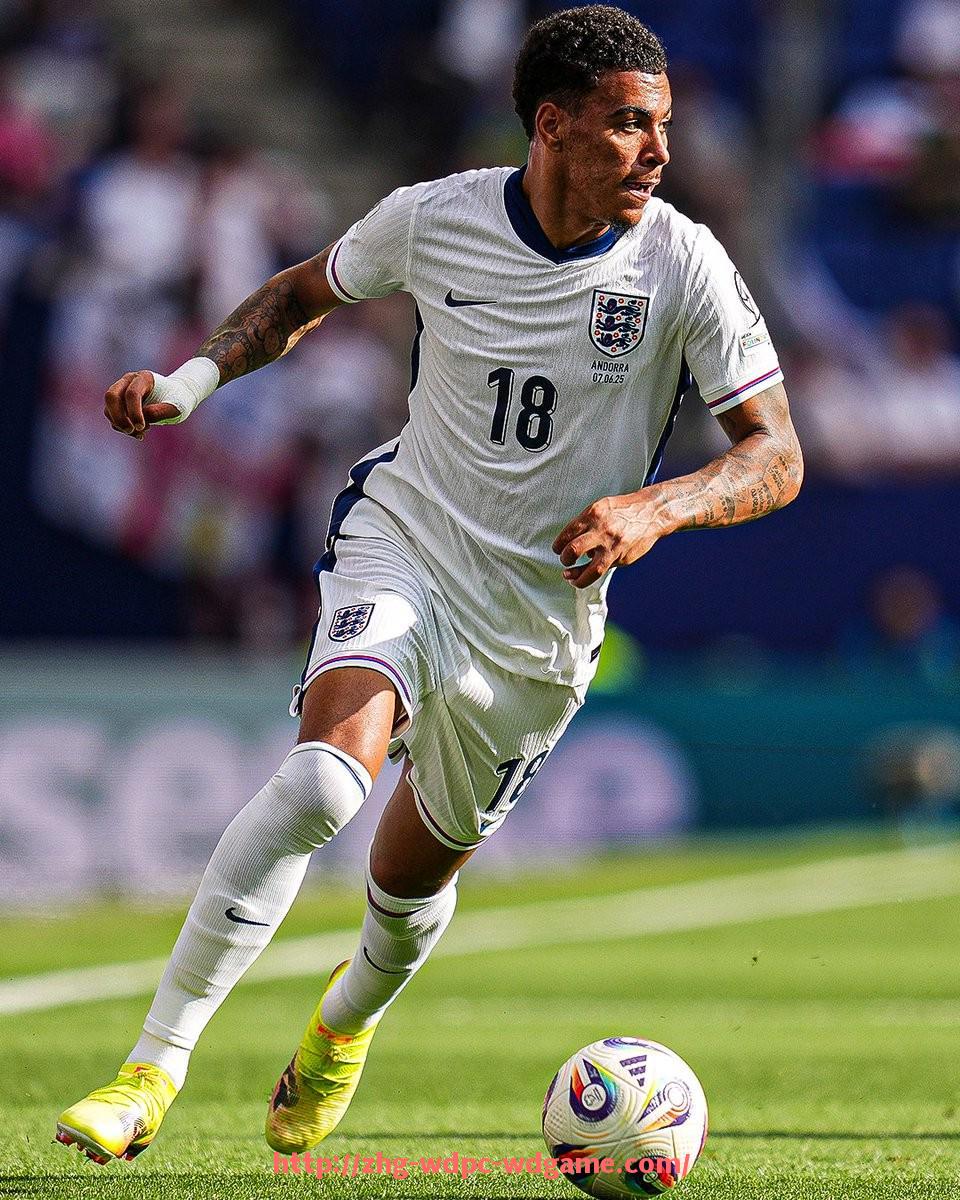 问鼎娱乐官方网站-世俱杯比赛中球员比赛位置热图统计与战术覆盖能力分析